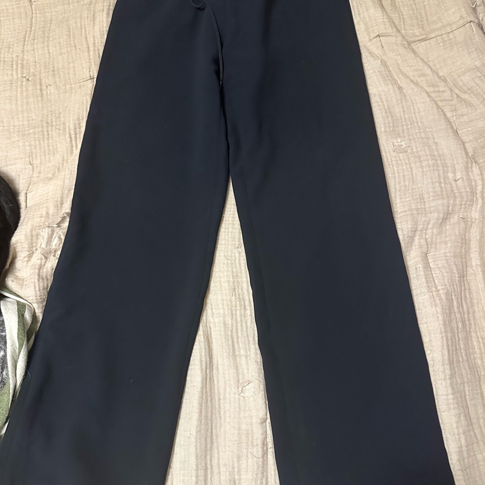 Aritzia lodge pant